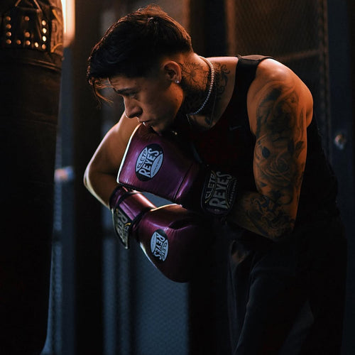 Curso en Línea: Introducción al Boxeo